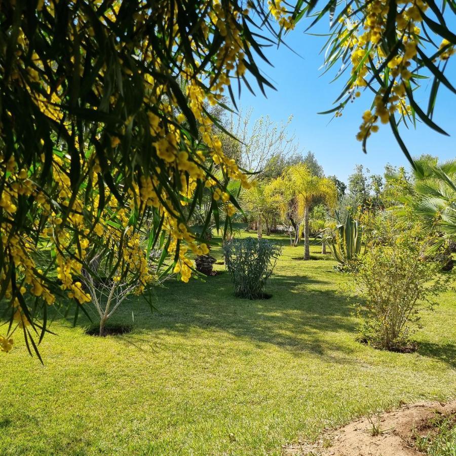 Riad Les Deux Citronniers Маракеш Екстериор снимка