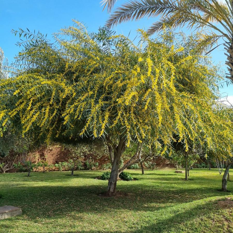 Riad Les Deux Citronniers Маракеш Екстериор снимка