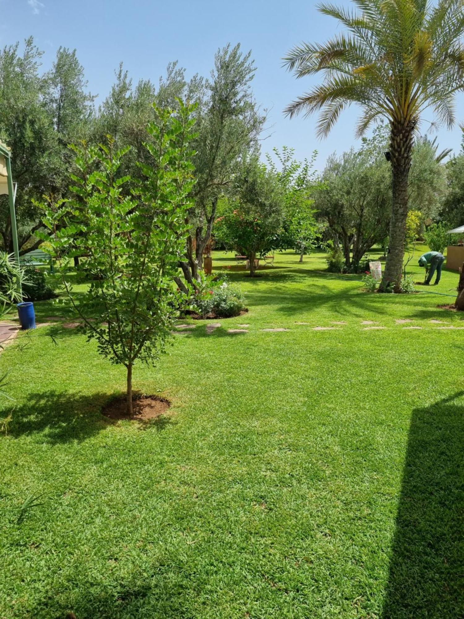 Riad Les Deux Citronniers Маракеш Стая снимка