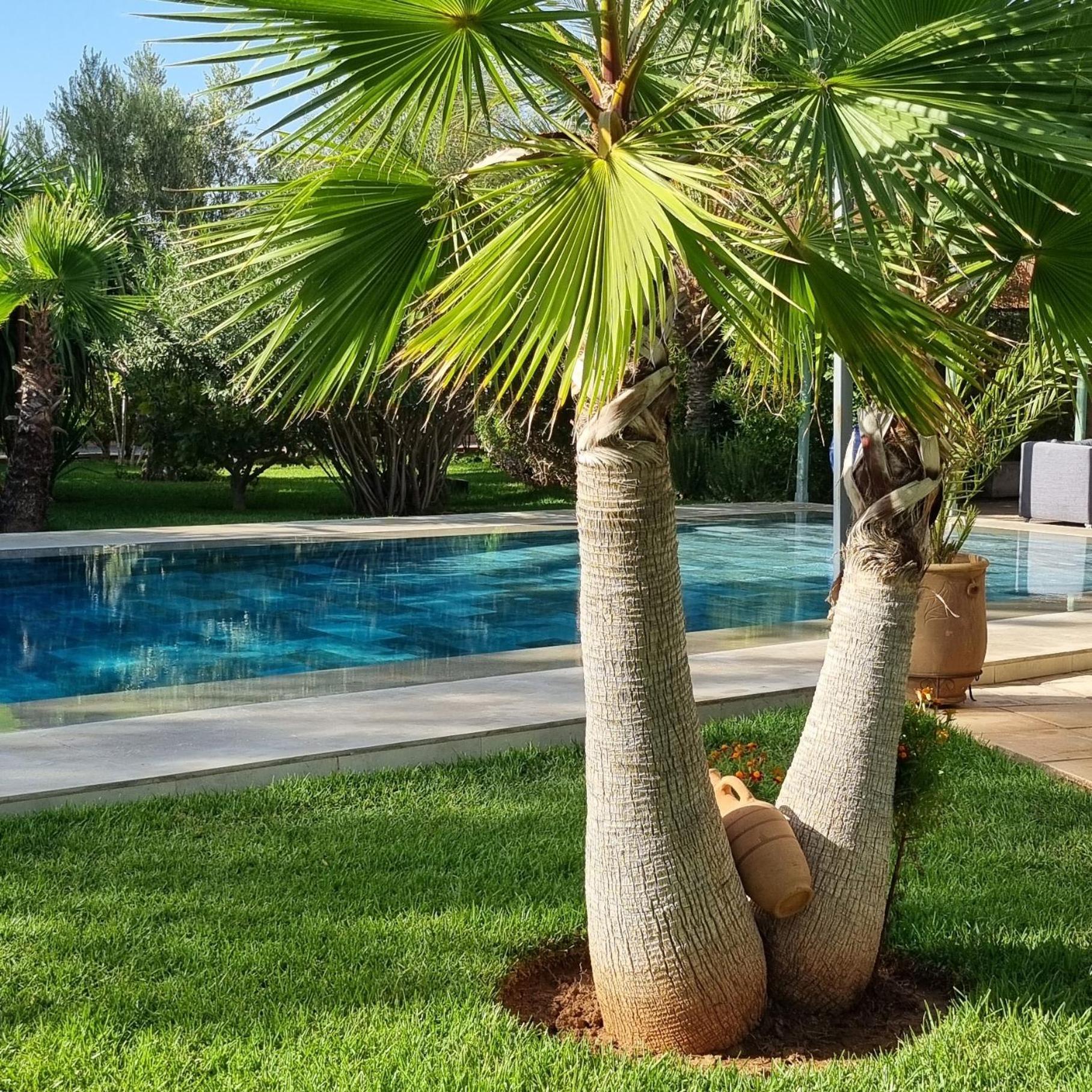 Riad Les Deux Citronniers Маракеш Екстериор снимка